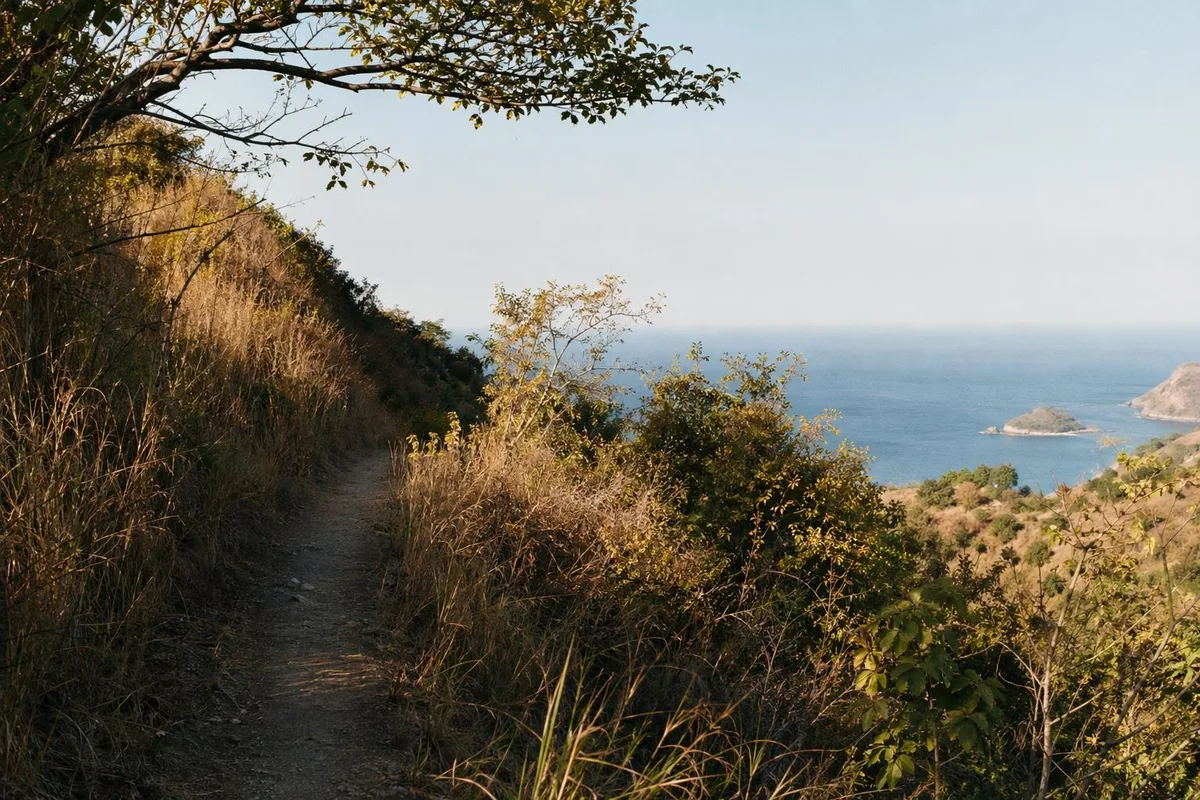 Hiking & Ridge Tours