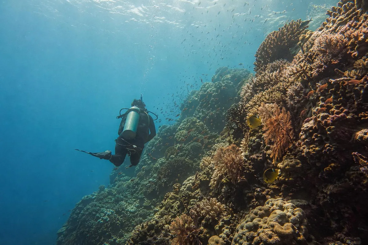 Diver Package