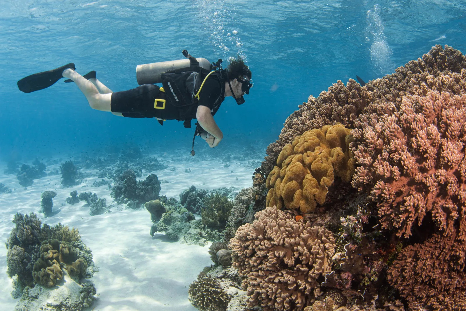 Diver Package